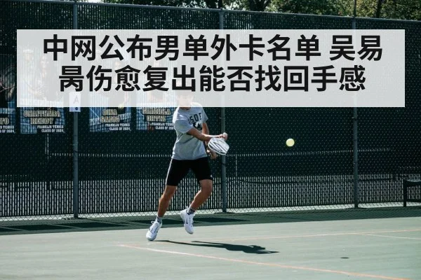 中网公布男单外卡名单 吴易昺伤愈复出能否找回手感